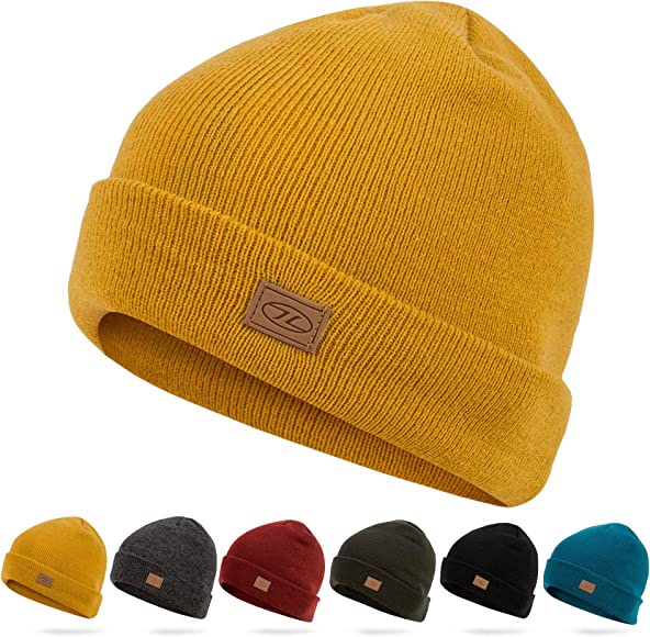 Thinsulate Ski Hat Thinsulate Ski Hat